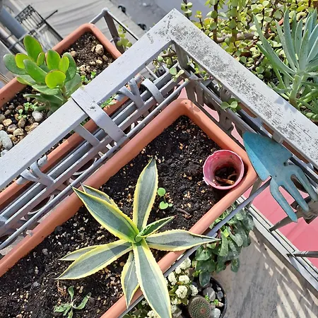 شقة Ianuzza House