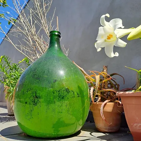 Ianuzza House كاتانيا