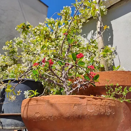 شقة Ianuzza House كاتانيا