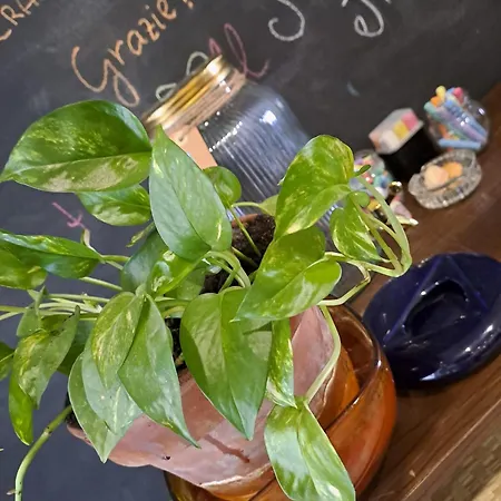 شقة Ianuzza House كاتانيا