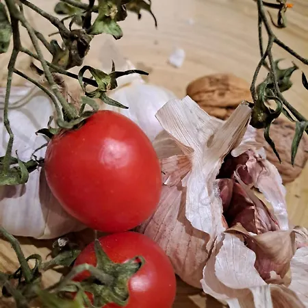 شقة Ianuzza House *